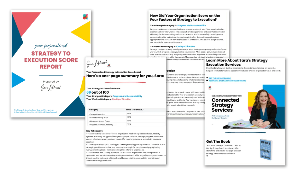 Four example pages from the full report shown as thumbnails, including the colorful cover, a one-page summary, an example category overview, and a page with information about next steps.