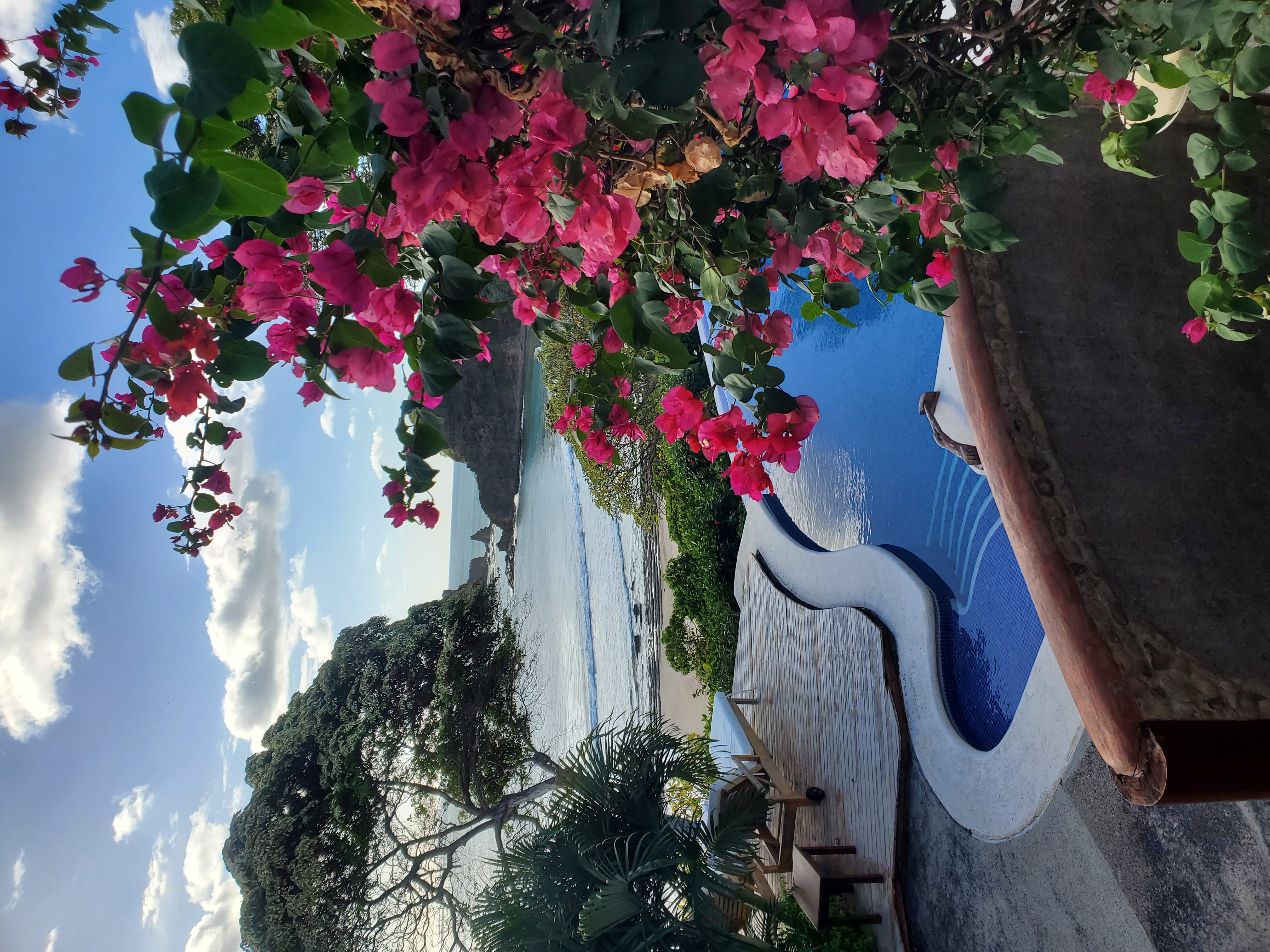 Root Wellness with Melissa Herrera holistic wellness education exploring the mind-body connection and German New Medicine principles.