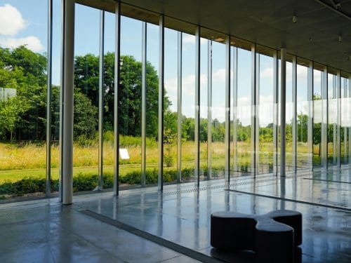 Residential Window Tinting