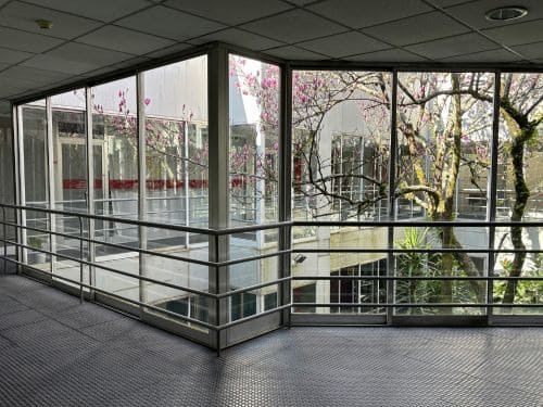 Newton Commercial Window Tinting