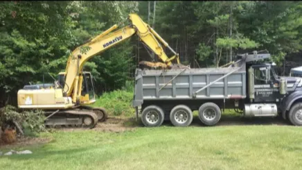 white flowers on brown tree