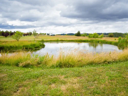 Ponds & Lakes in Russellville, AL