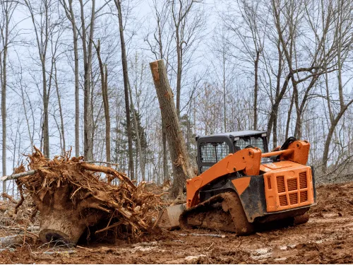 Land Clearing in Russellville, AL