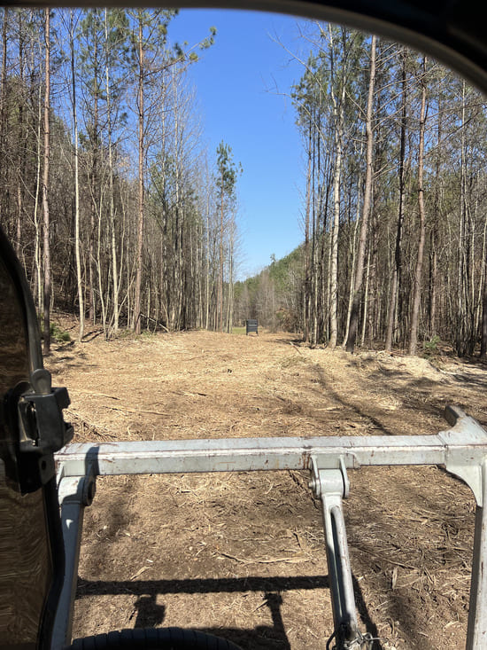 Muscle Shoals, AL Land Clearing
