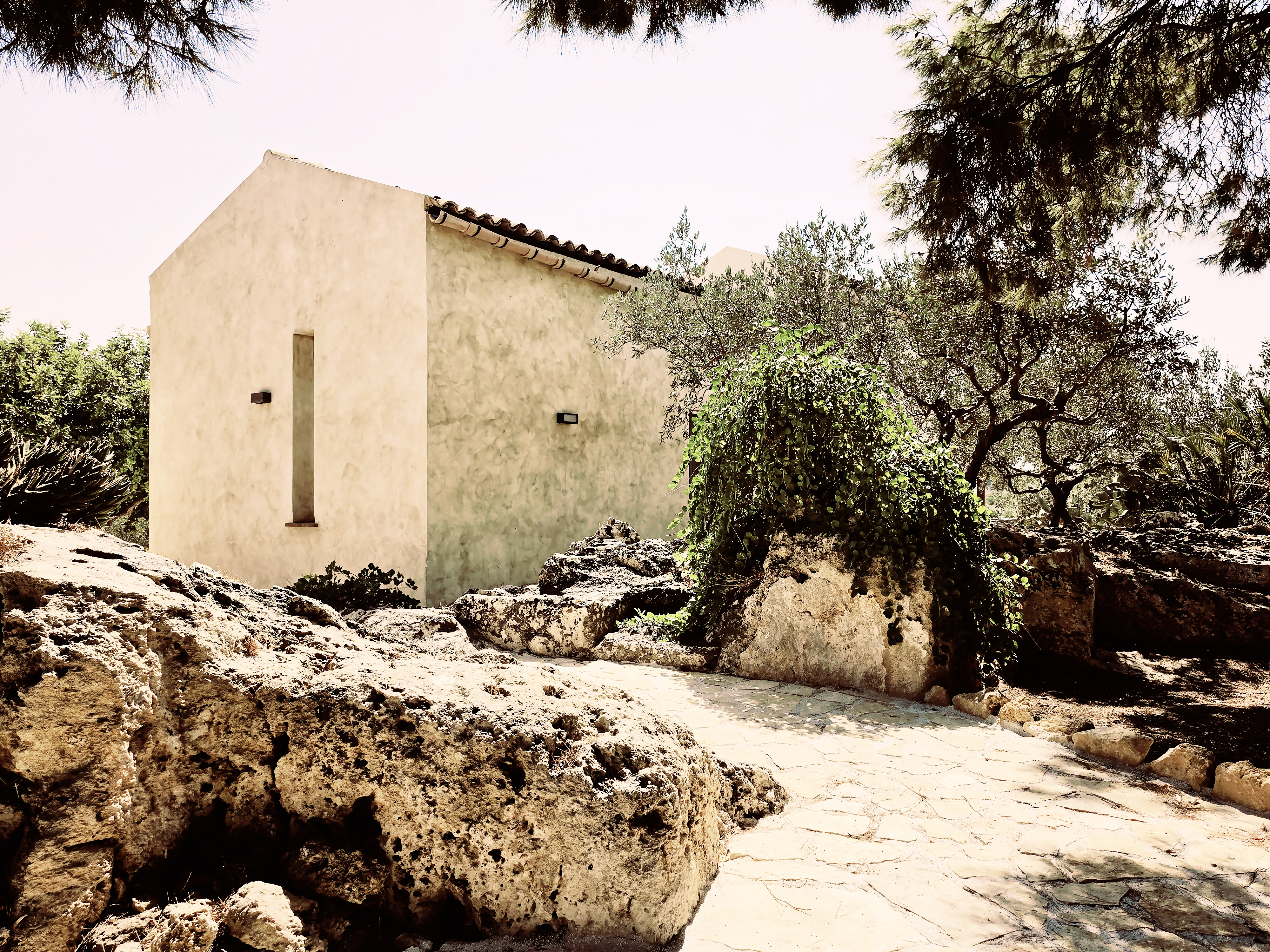 Casa in intonaco a calce naturale immersa tra gli ulivi della Sicilia occidentale