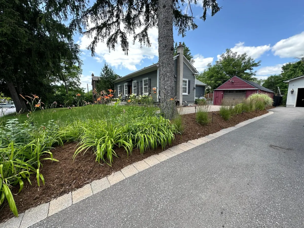Newly planted garden bed with mixed perennials, shrubs, fresh soil, and neat edging at a Richmond Hill/Aurora home, daytime