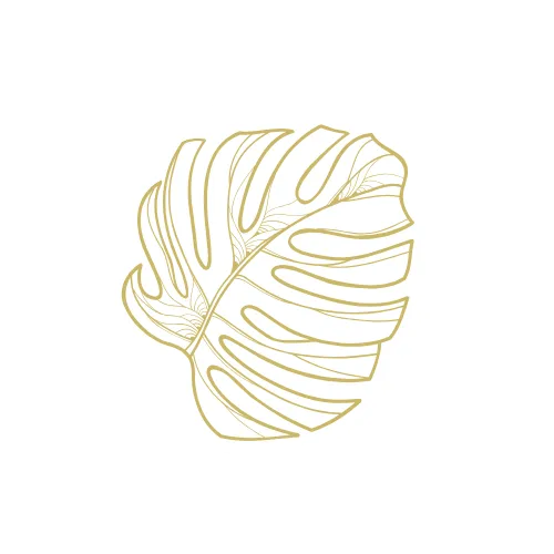 Badeau Group Logo