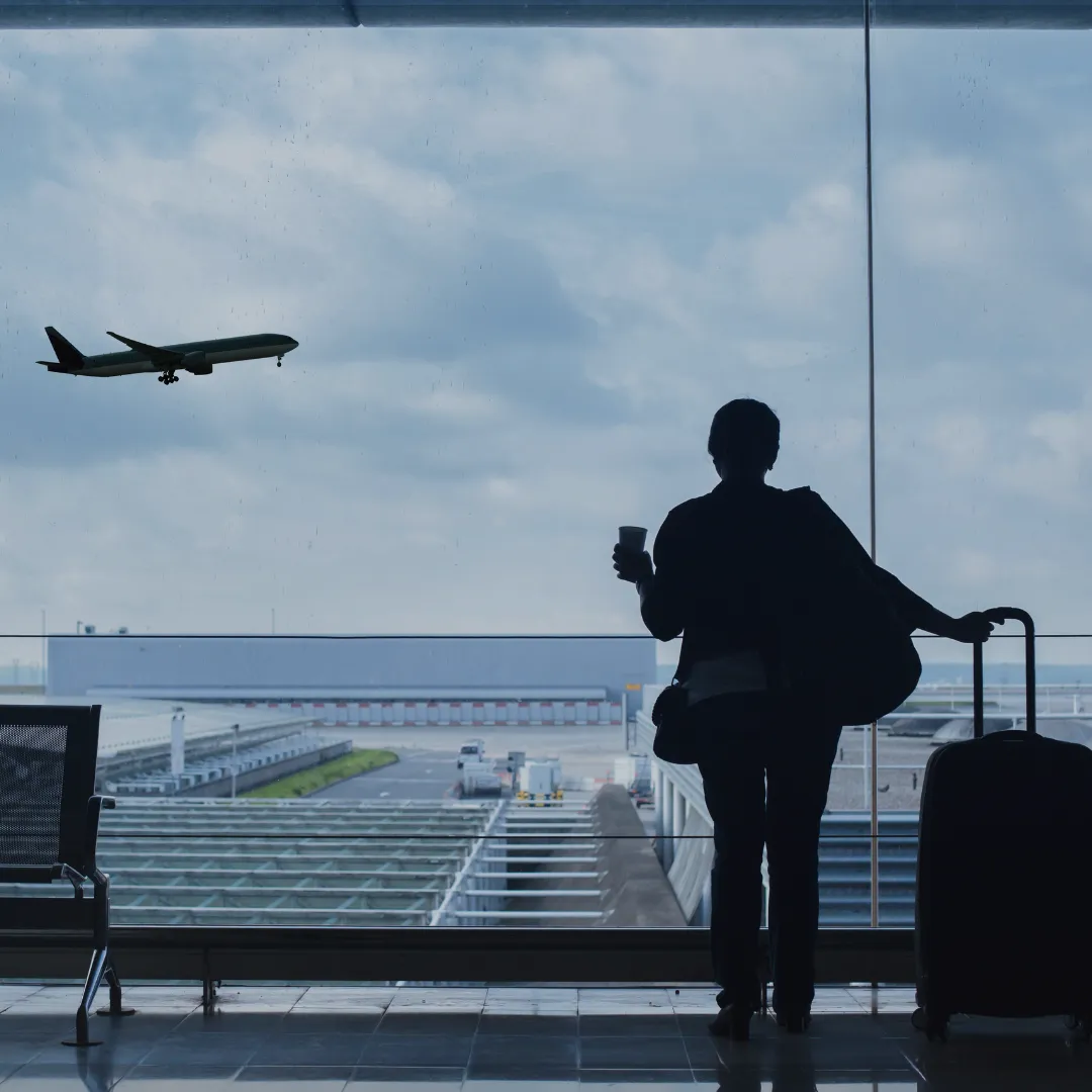 Revenue growth chart infographic showing $12M total with milestones and magenta launch markers