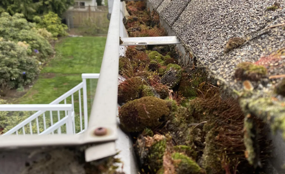 Gutter Cleaning & Moss Removal