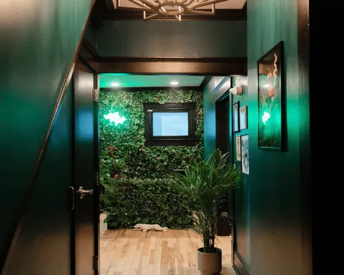 Cannabis Dispensary Ann Arbor