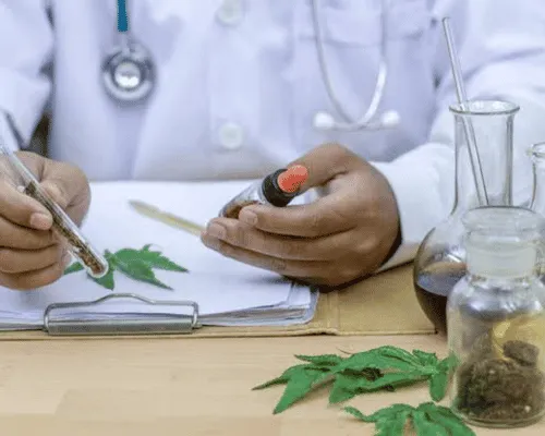 Medical Marijuana Sales