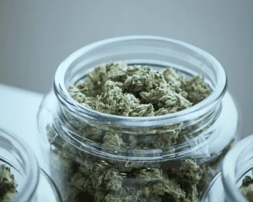  Recreational Cannabis Sales