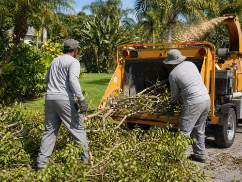 Poinciana, FL Tree & Palm Trimming
