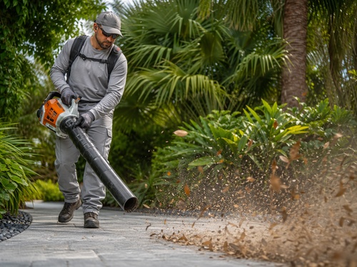 Yard Cleanup in Kissimmee, FL