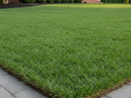 Sprinkler Repair Kissimmee, FL