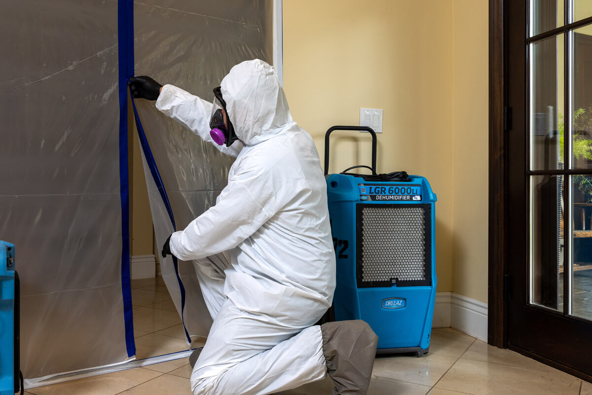 Mold Removal