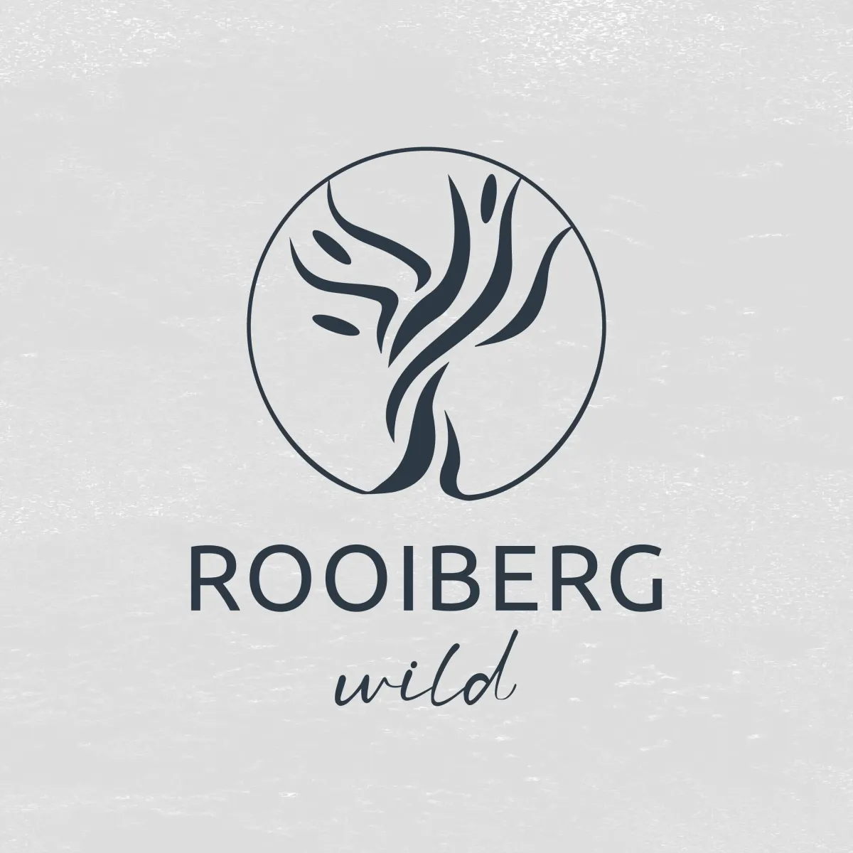 The Wild Reimagined at Rooiberg Wild
