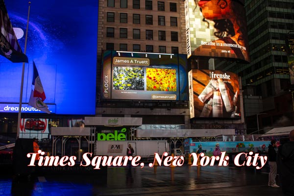 Times Square Billboard Showcases | New York City