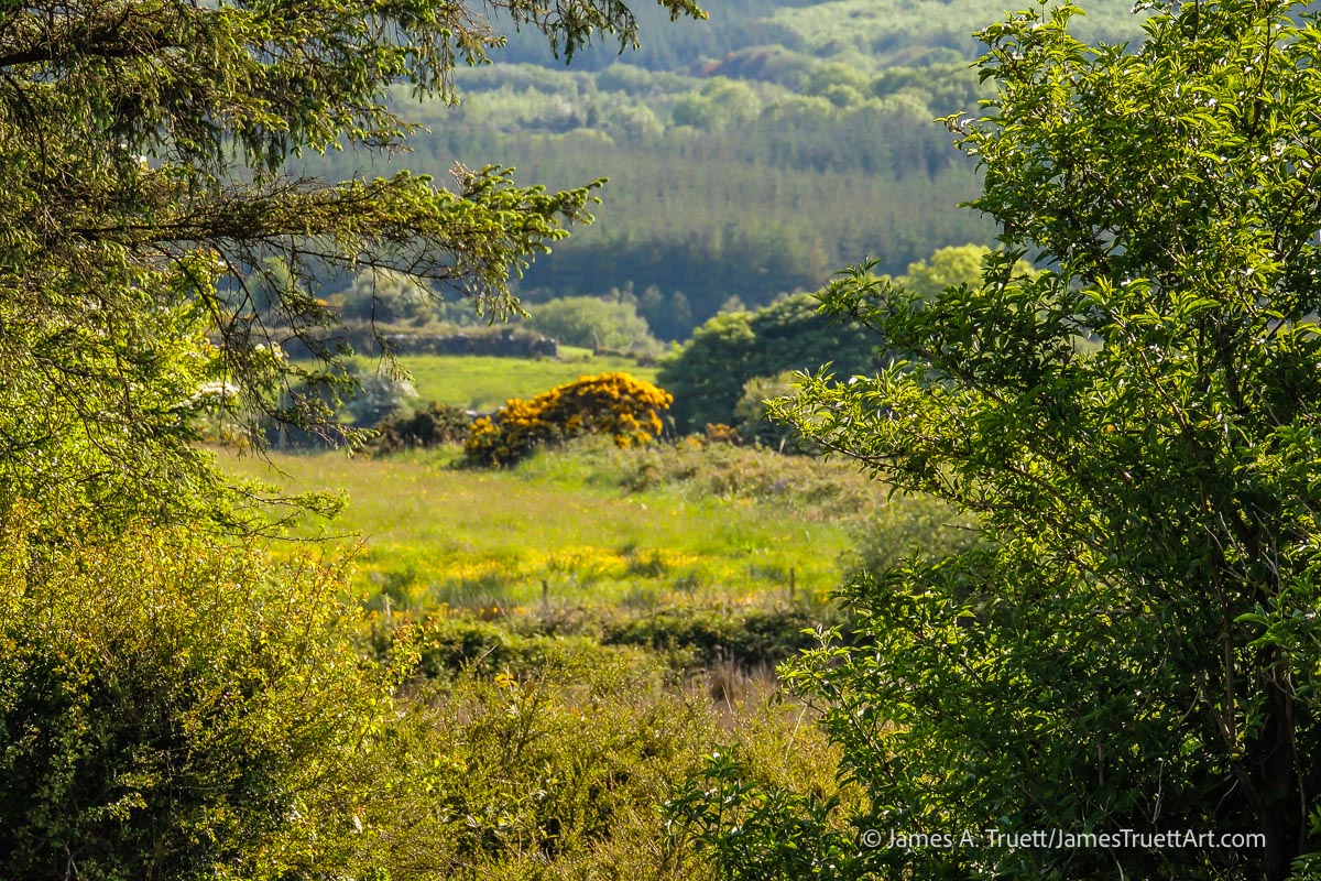 Ireland’s Forty Shades of Green: A Landscape in Technicolor