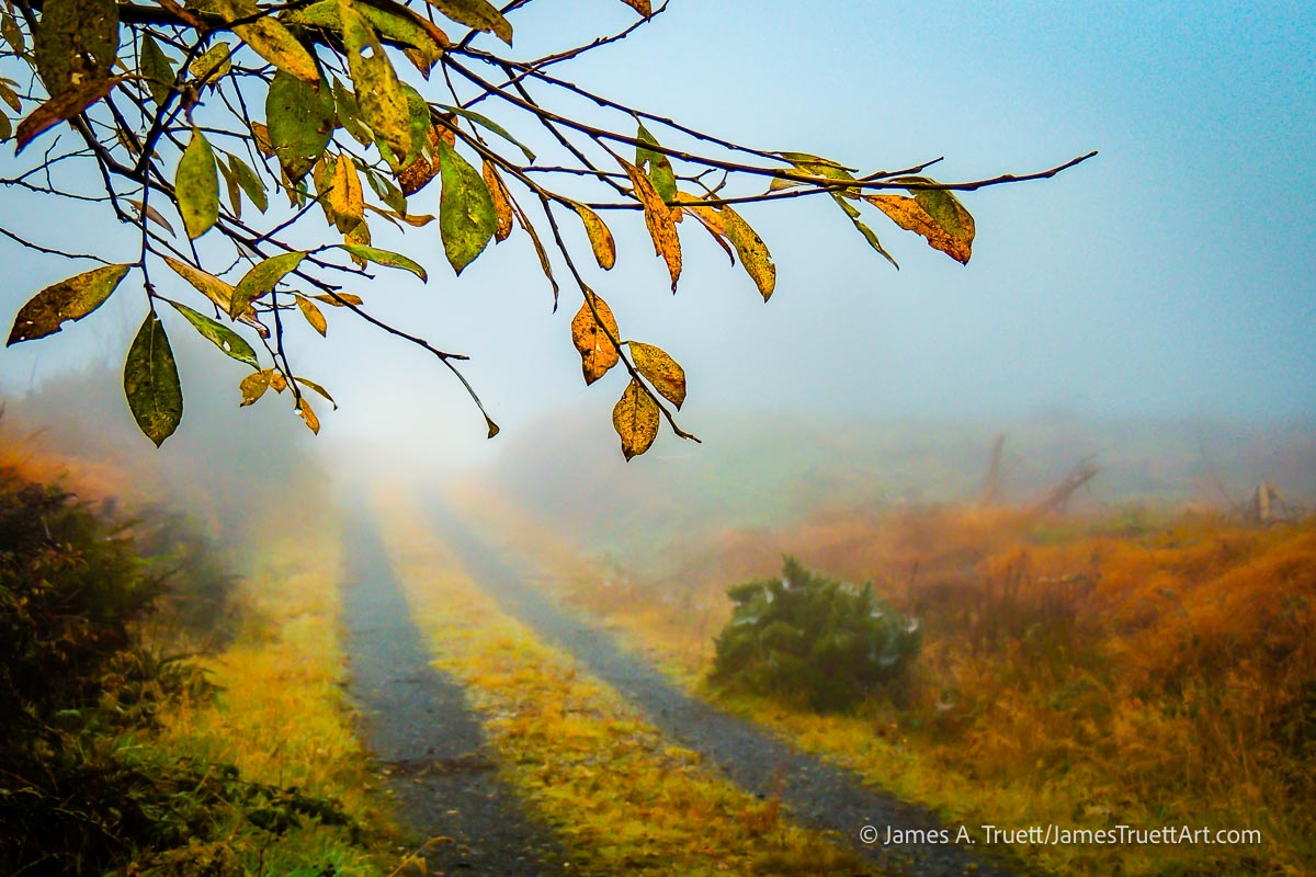 Irish Mist: Where the Road Disappears