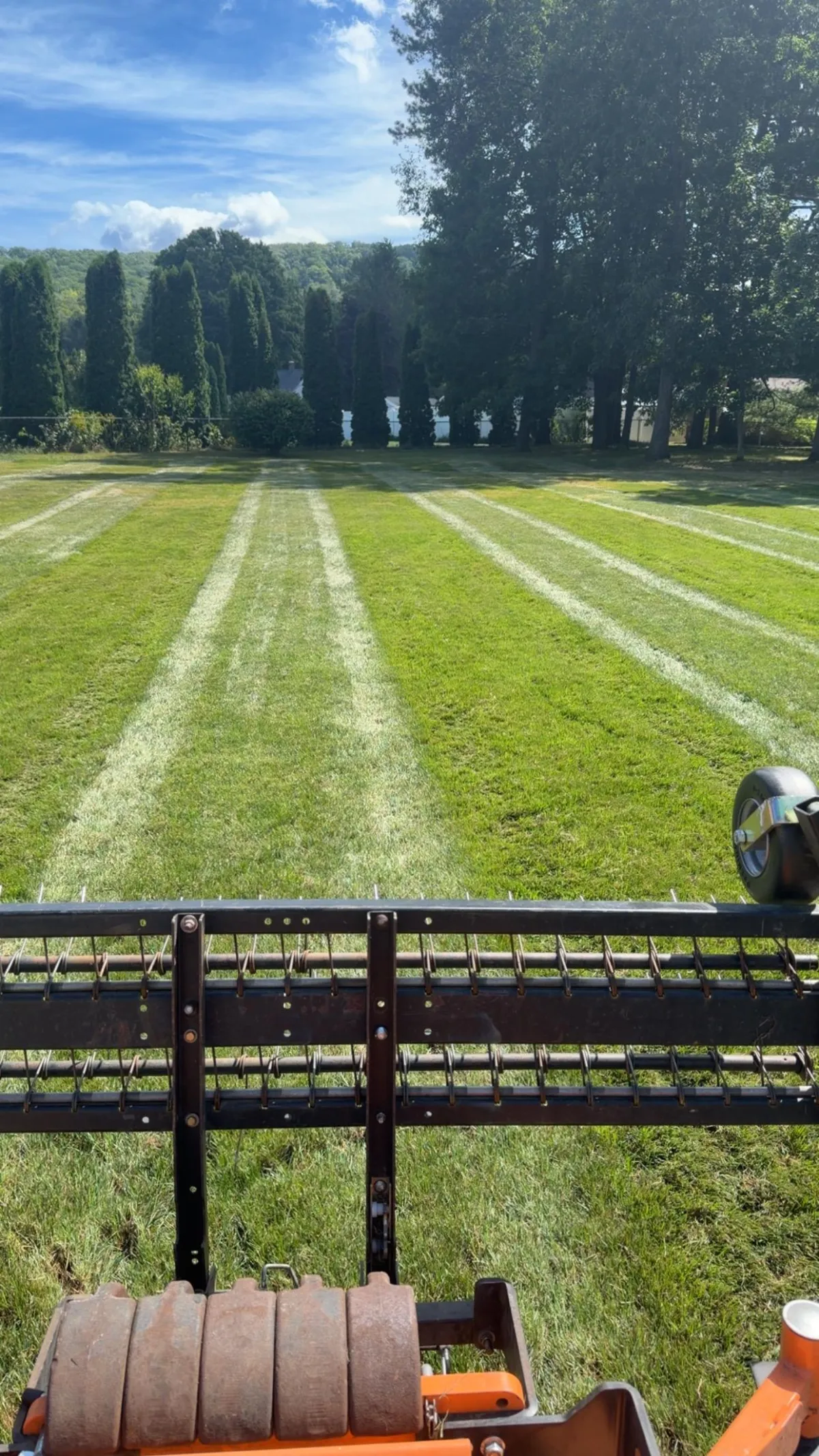 Freshly mowed residential lawn with clean professional striping