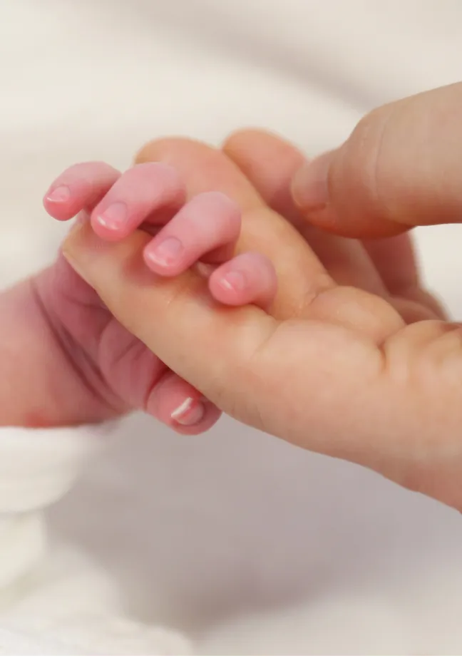 A baby's tiny hand gently held by an adult's hand. The image conveys warmth, tenderness, and a sense of protection.
