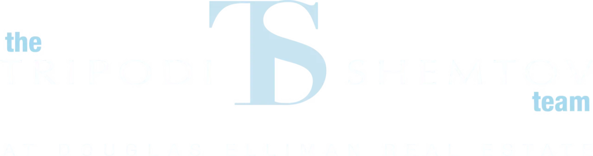 top real estate team on the South Shore of long island