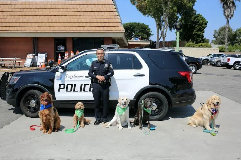 Port Hueneme Police - 5 VIP Dogs