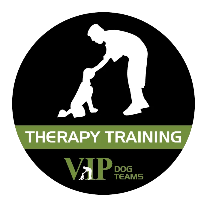 VIP Therapy Training Logo