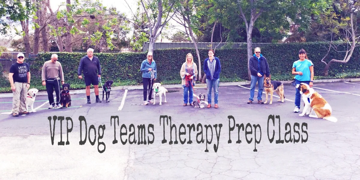 VIP Dog Teams Therapy Prep Class