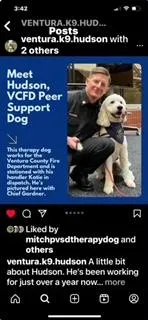 Hudson Social Post - Peer Support Dog