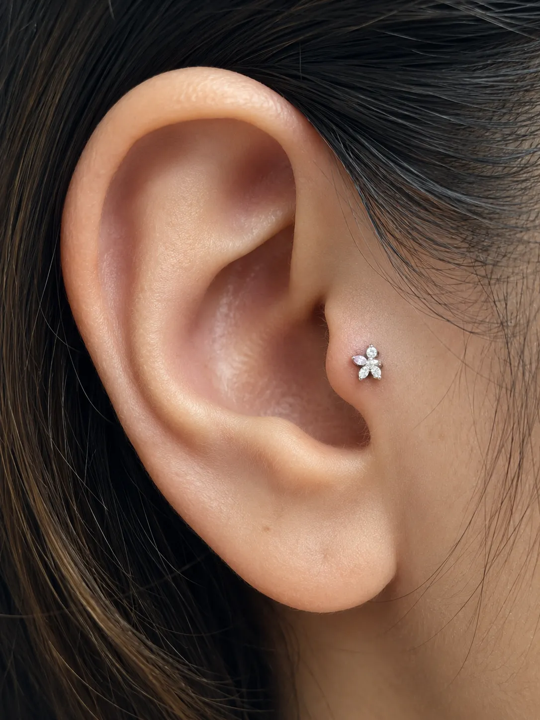 tragus piercing homer glen il