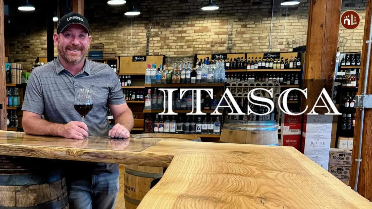 photography of green grass field with plants