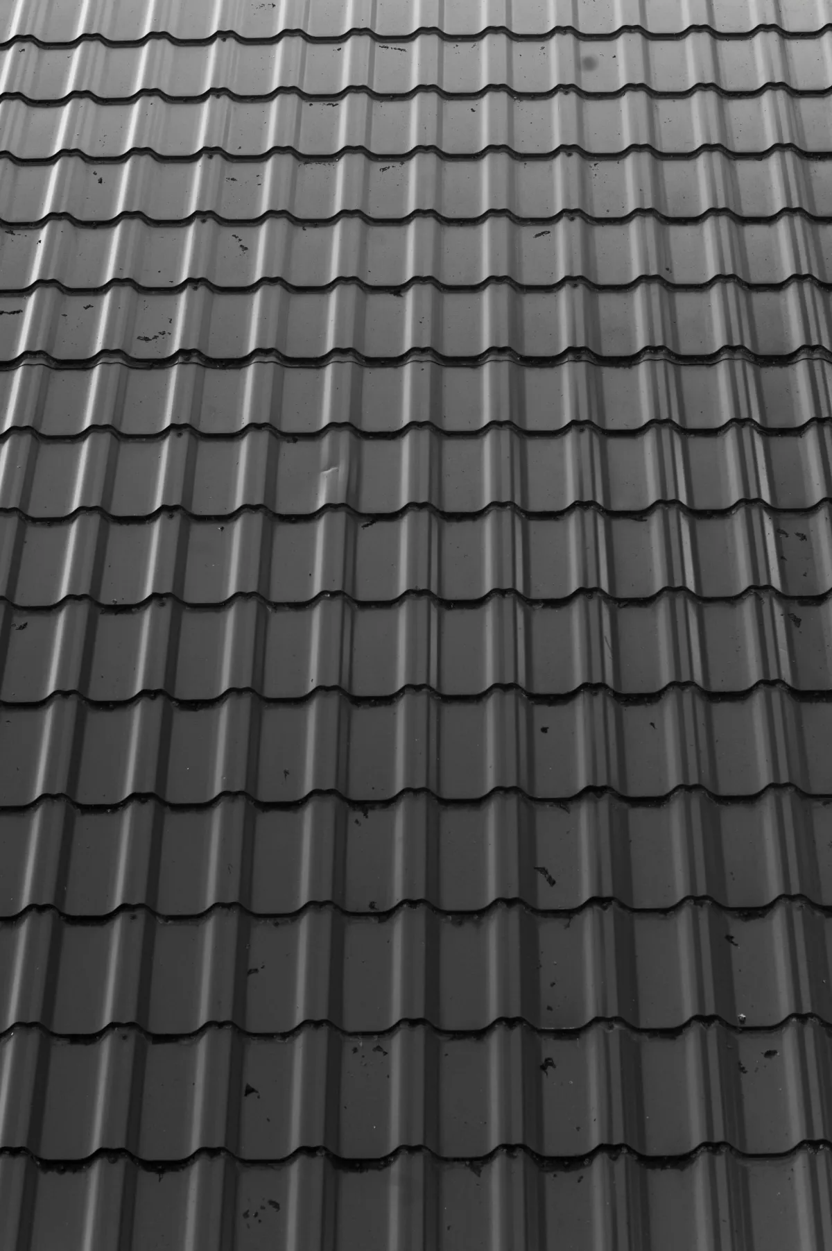Osceola County Metal Roof