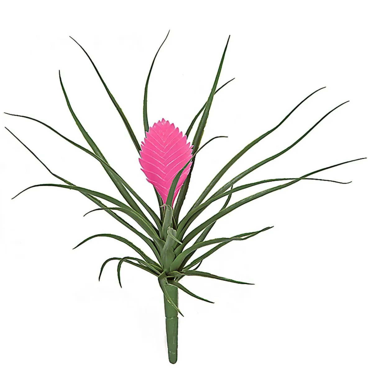 12 Inch UV Pink Tillandsia Plant