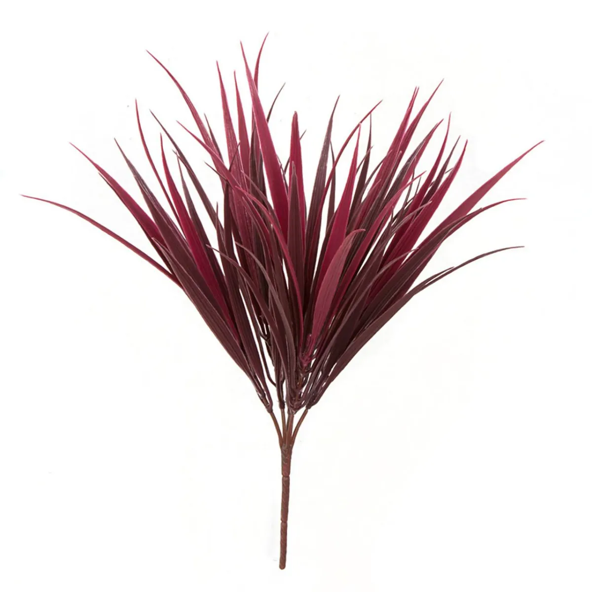 Burgundy, Wine Vanilla Grass