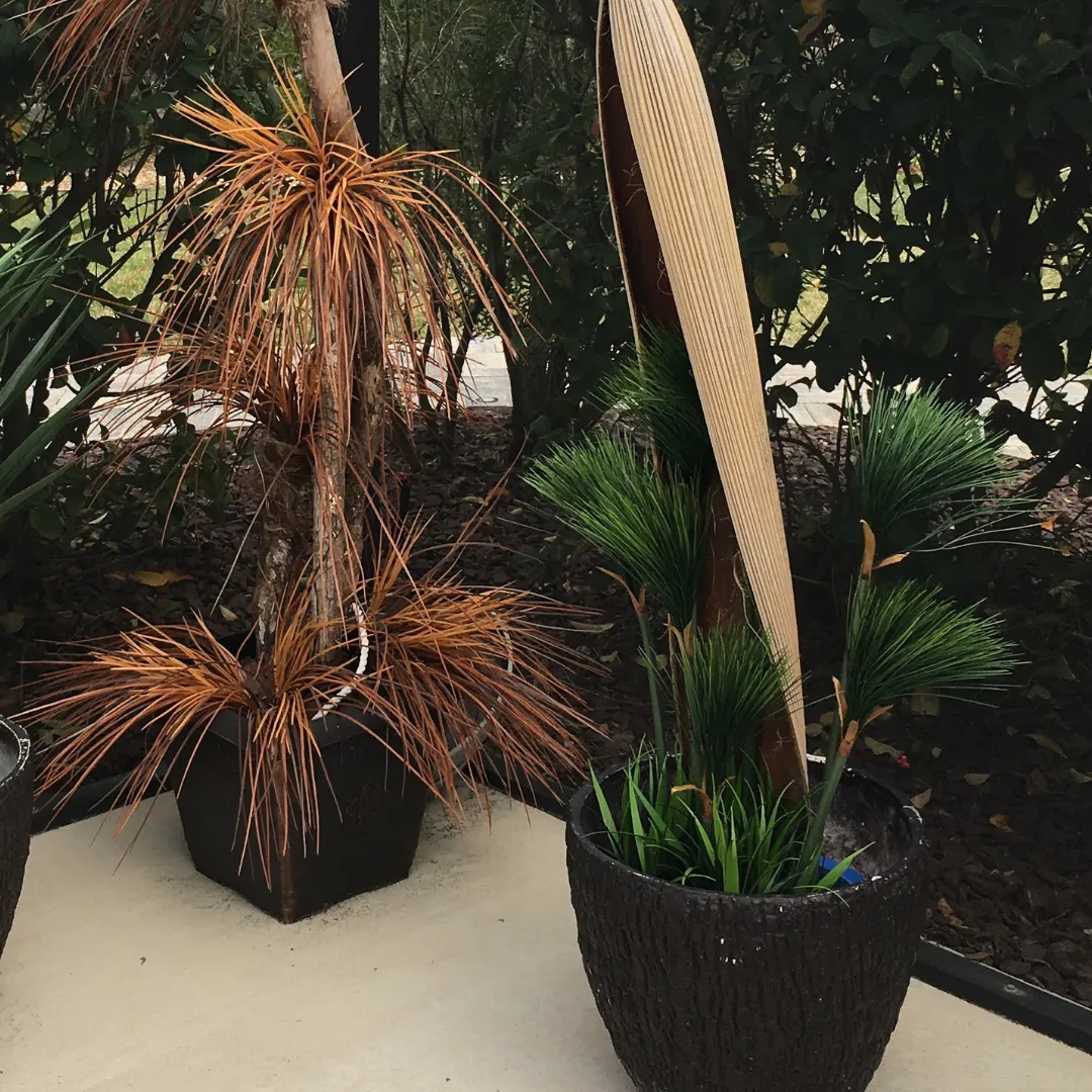 Papyrus and grass in outdoor planter