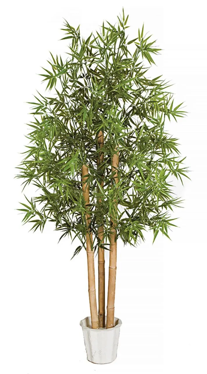 6 Foot Outdoor Bamboo Tree