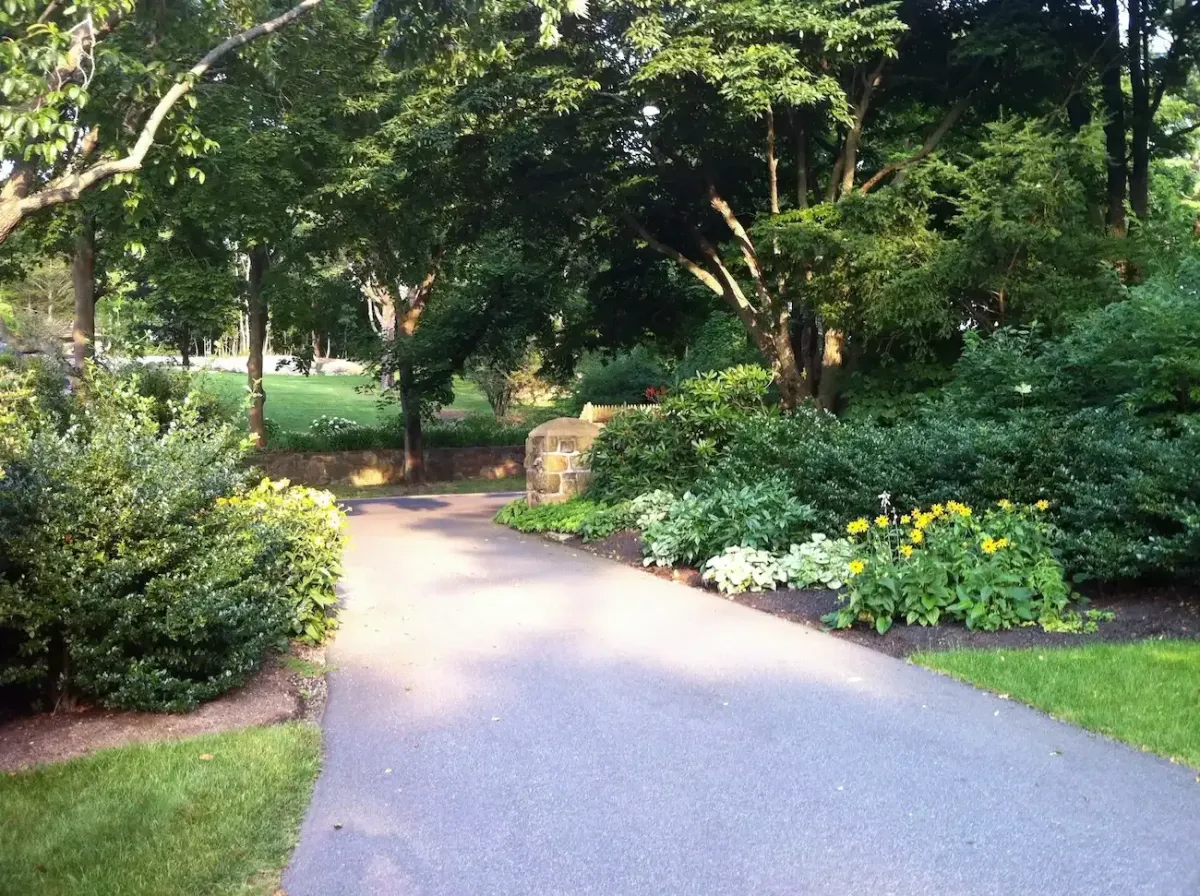 Professionally landscaped residential driveway with mature trees and garden beds in Marblehead, MA