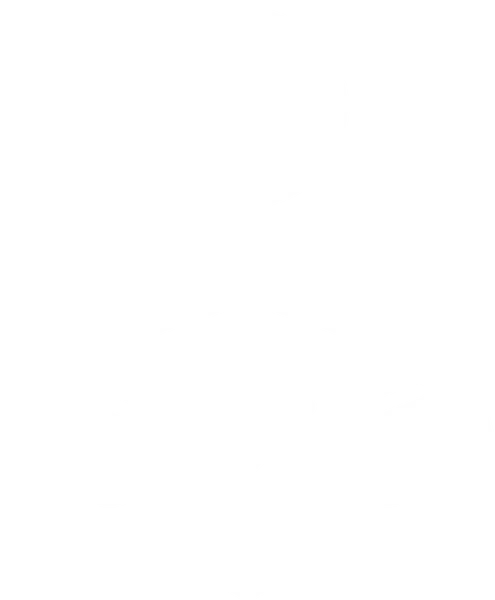 Protection Icon