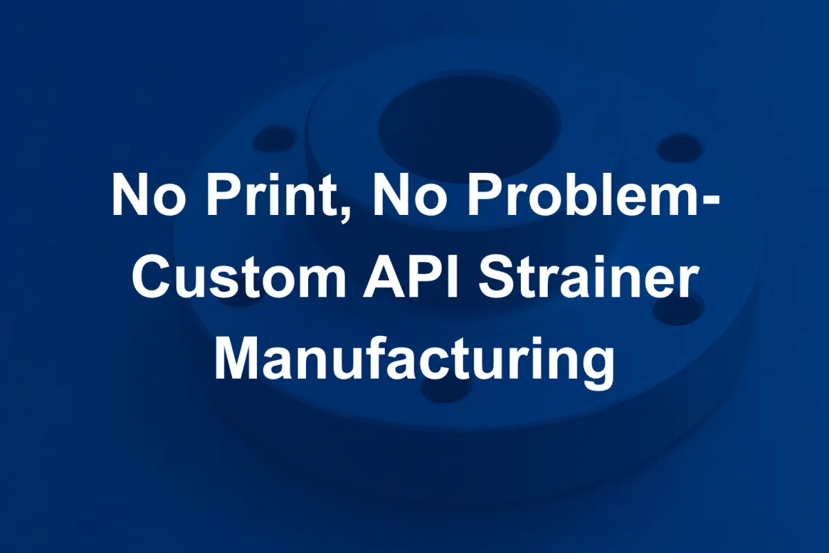 No Print, No Problem - Custom API Strainer Manufacturing