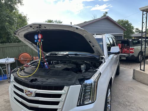 Starter Replacement Littleton