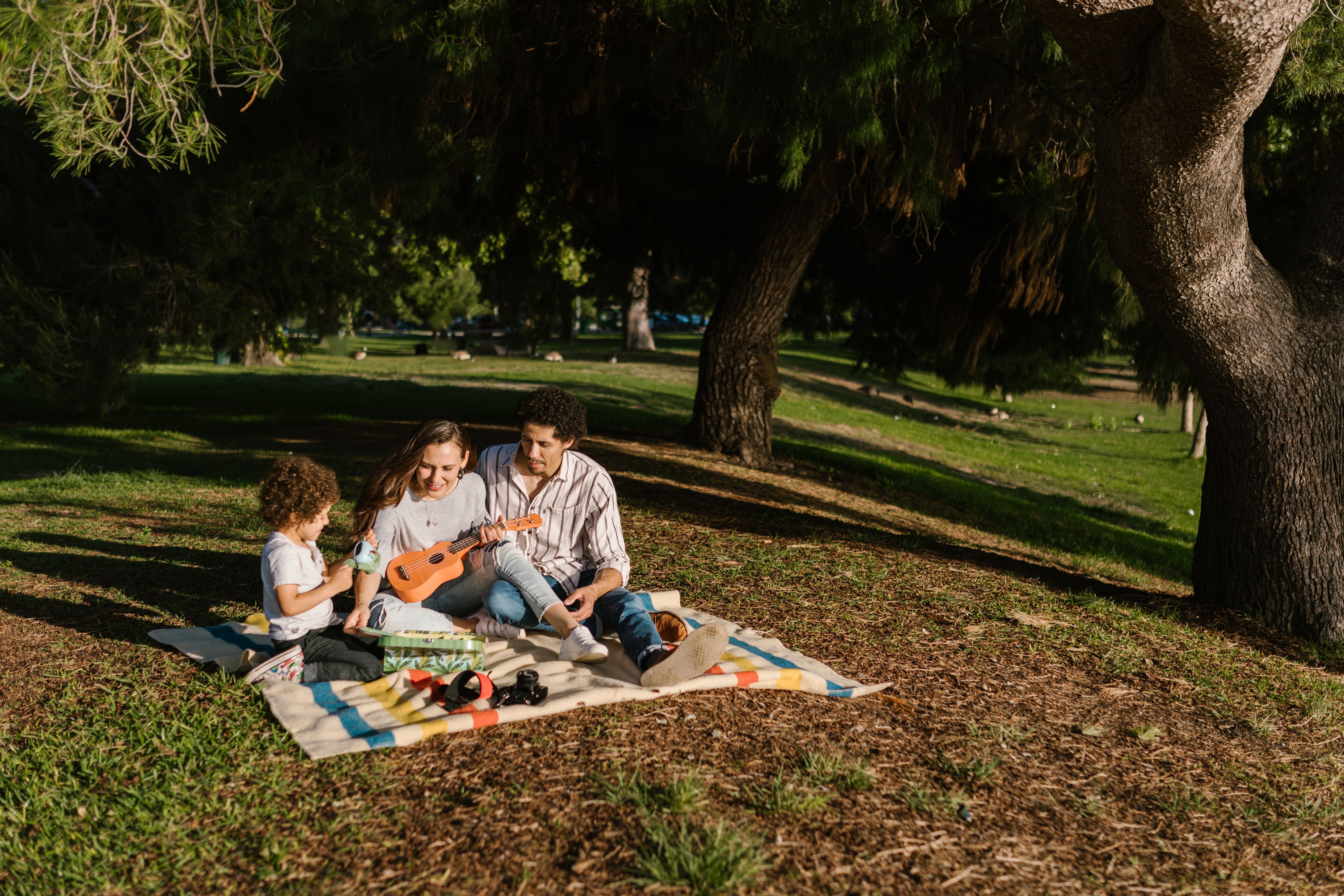 Family on a picnic blanket
