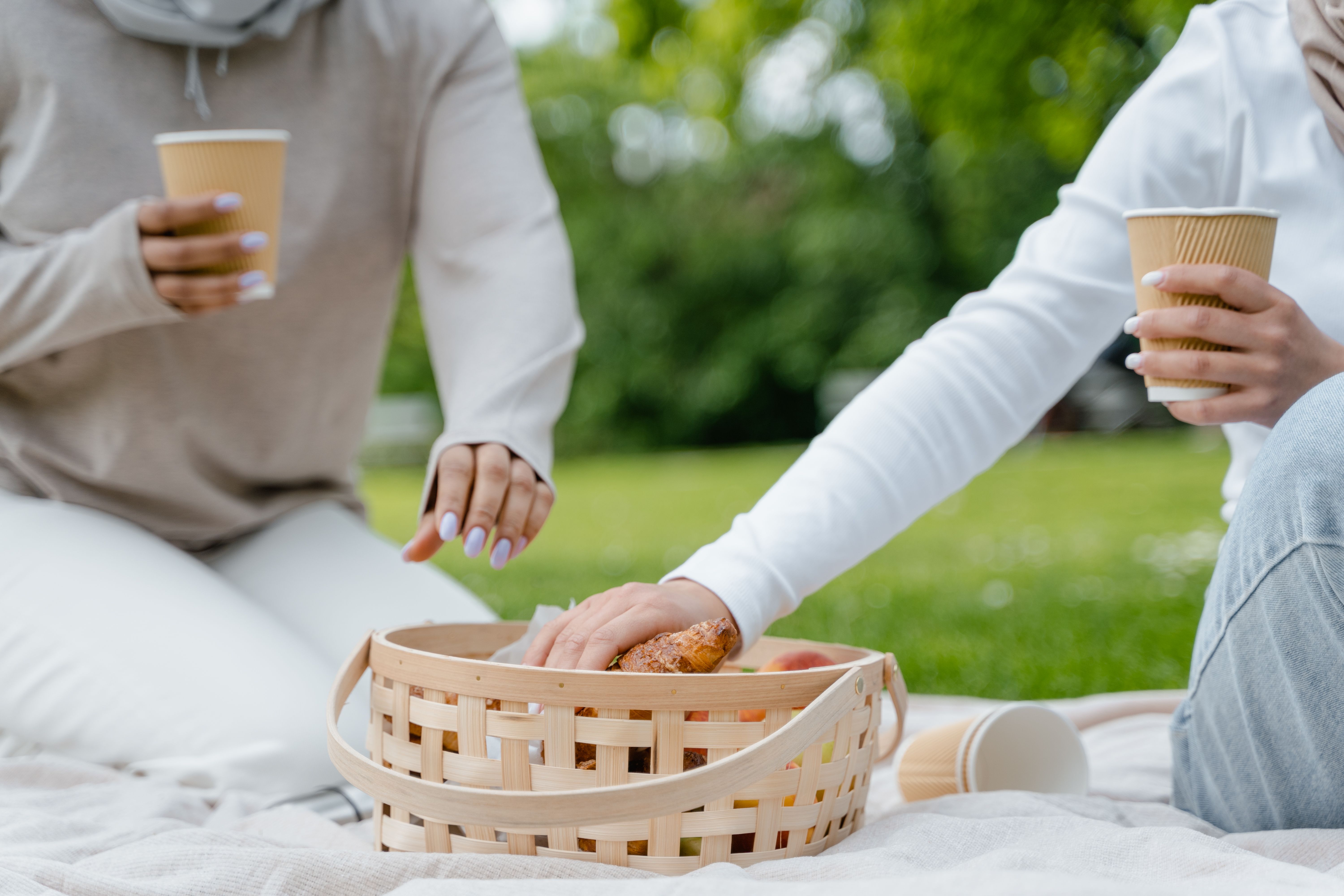 picnic