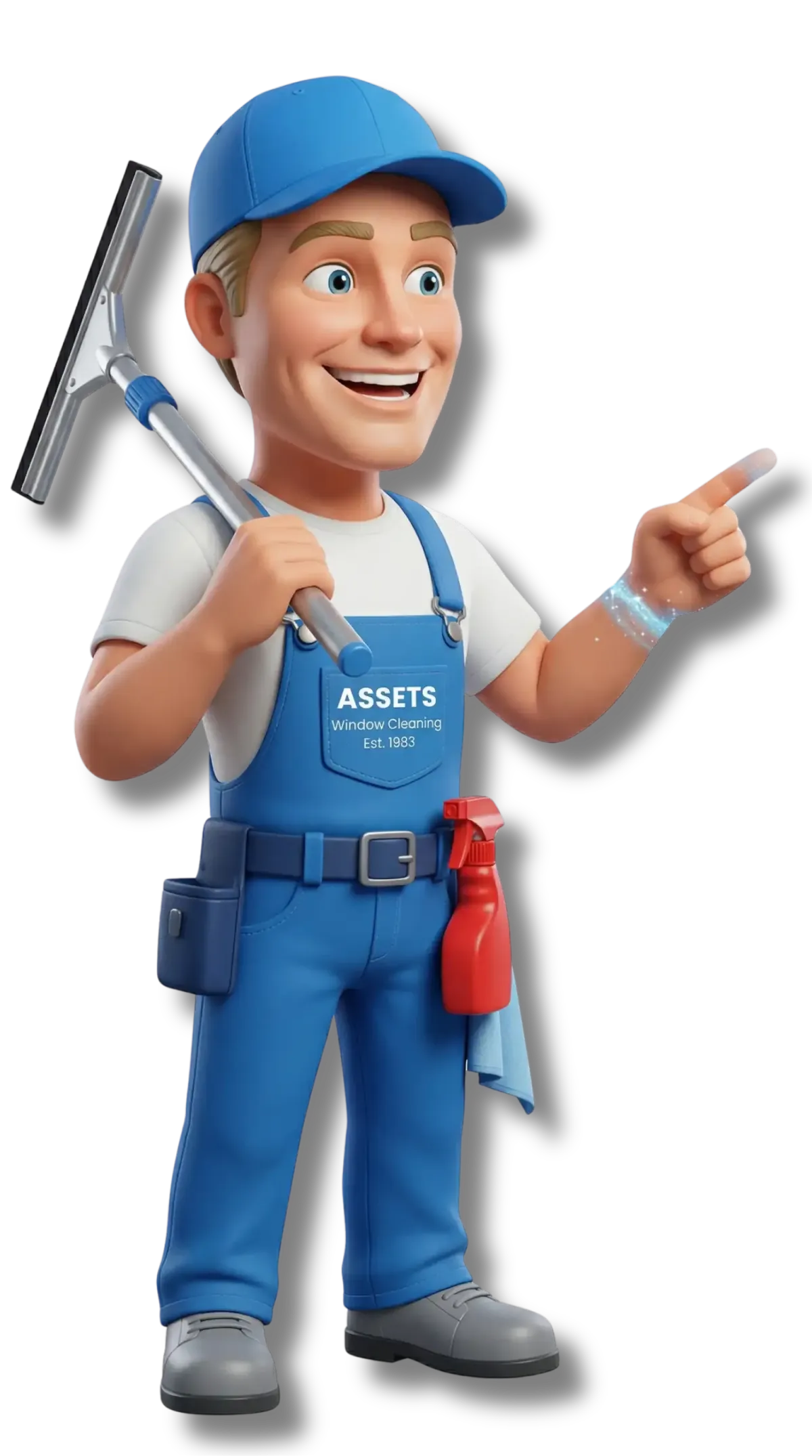 WINDOW CLEANING AGOURA