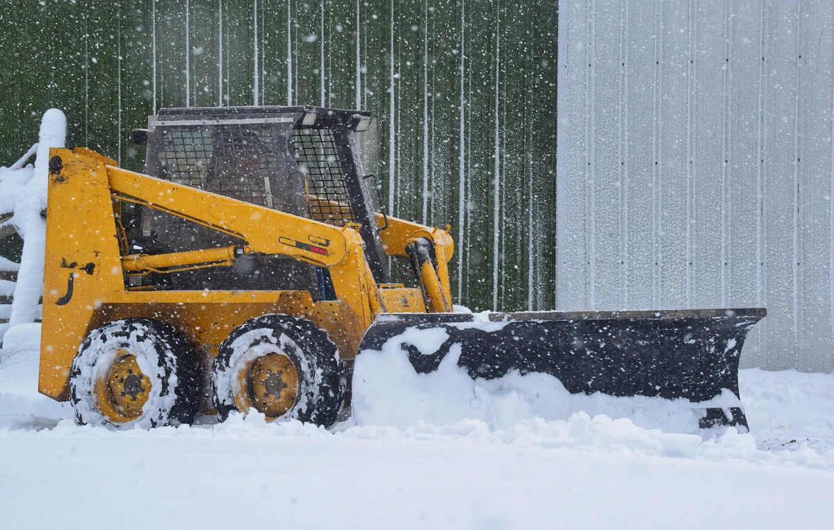 a snow covered forest with trees covered in snow