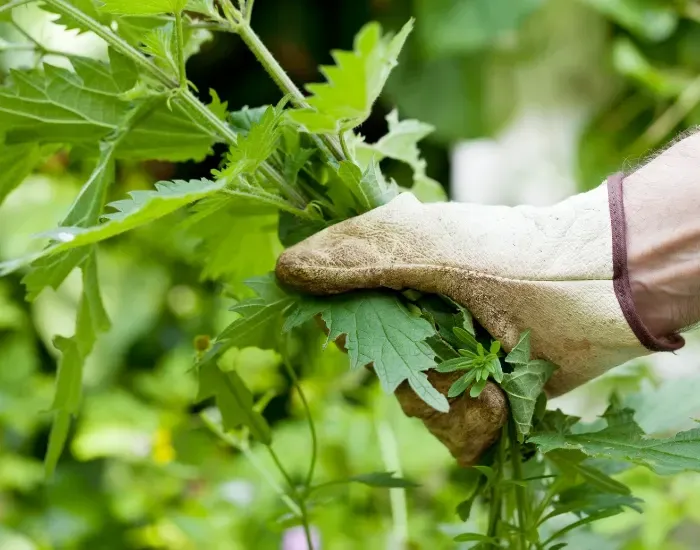 Leak Detection & Pipe Repair in New Jersey