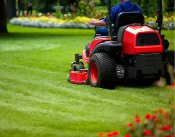 {{ custom_values.service_1 }} in {{custom_values.biz_area_1})