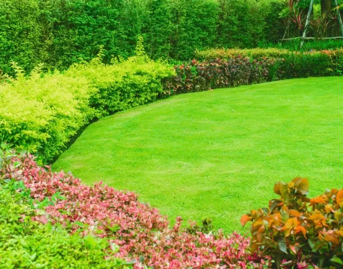 Drain Cleaning & Unclogging New Jersey