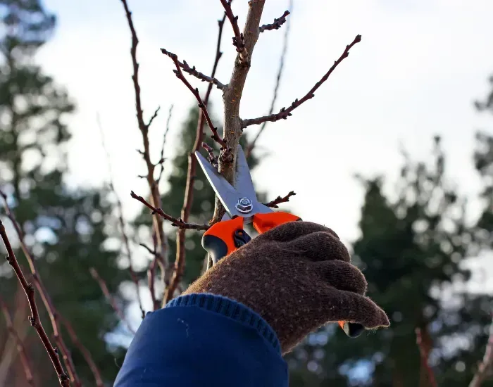 Pavers & Concrete in New Jersey